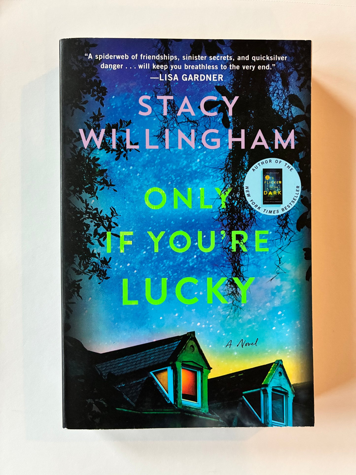 Only If You’re Lucky by Stacy Willingham